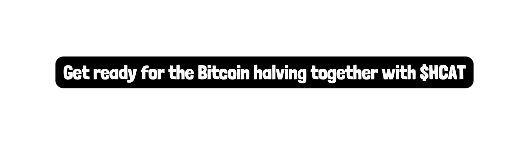 Get ready for the Bitcoin halving together with HCAT
